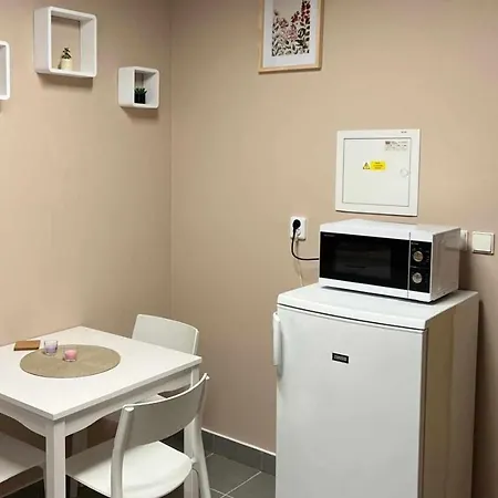 Apartmán U Sovy - Malá Sova Železná Ruda